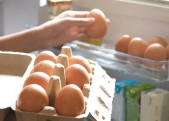 ما الذي يحدث لجسمك عند تناول البيض يوميًا لمدة 14 يوم 12 البيض