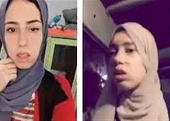 السوشيال ميديا