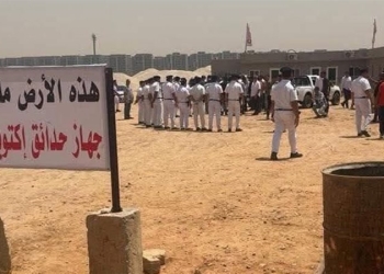 ارض نادي الزمالك