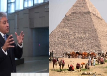 وزير السياحة عن مصير الخيالة