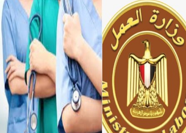 رواتب تصل لـ20 ألف جنيه وزارة العمل تعن عن وظائف فرص ذهبية للشباب اعرف طريقة التقديم 1 وزارة العمل