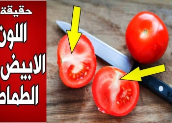 حقيقة انتشار طماطم مسرطنة بالأسواق