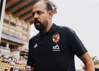 عماد النحاس