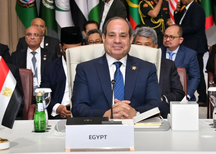 فرصة تاريخية تعليق الرئيس السيسي بشان مؤتمر حل الدولتين في نيويورك 1 الرئيس السيسي