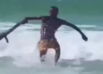 ظهور تمساح نيلي