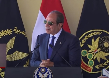 دور مصر والرئيس السيسي في المنطقة