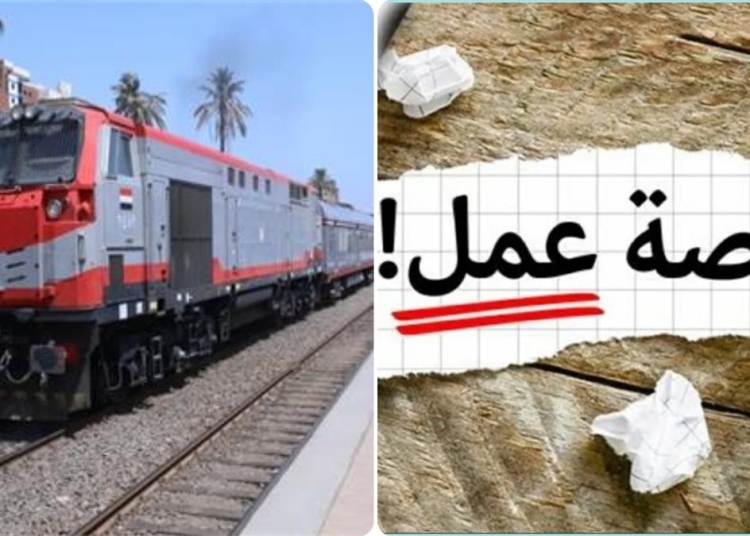 هيئة سكك حديد مصر تعلن وظائف قيادية شاغرة حتى 4 نوفمبر اعرف الشروط 1 وظائف هيئة سكك حديد مصر