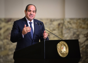 الرئيس السيسي حماية المياه تمثل قضية مصيرية ولن نسمح بتهديد مصالح دول الحوض 13 الرئيس السيسي