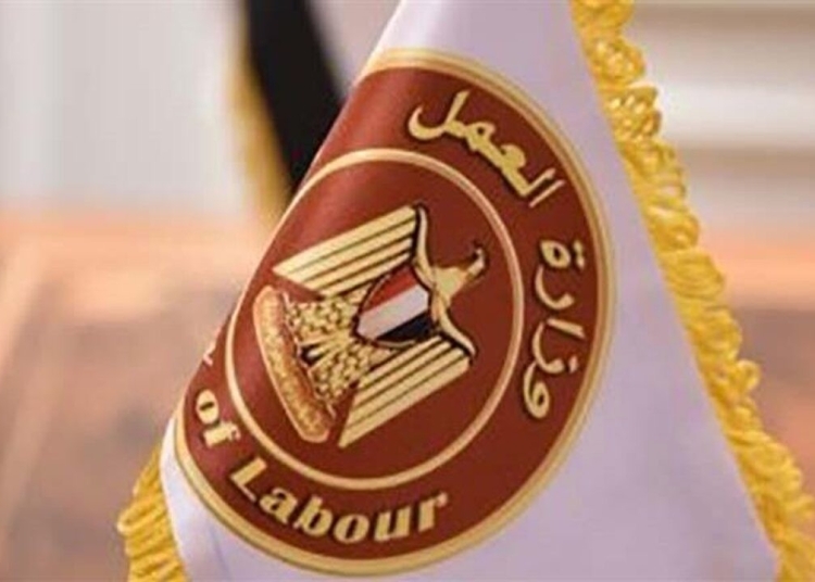 وزارة العمل تعلن عن 5456 فرصة عمل جديدة للشباب اعرف التفاصيل 1 تخفيف الاستهلاك