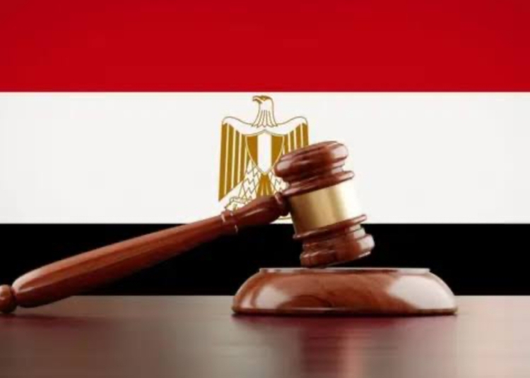 مشروع قانون الإجراءات الجنائية تفاصيل اعتراضات رئيس الجمهورية 1 مشروع قانون الإجراءات الجنائية