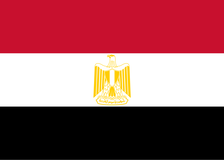 بيان جمهورية مصر العربية بعد موافقة الفصائل الفلسطينية على خطة ترامب ووقف الحرب بقطاع غزة 1 بيان جمهورية مصر العربية