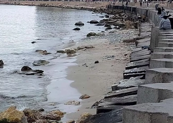 انحسار البحر في الإسكندرية