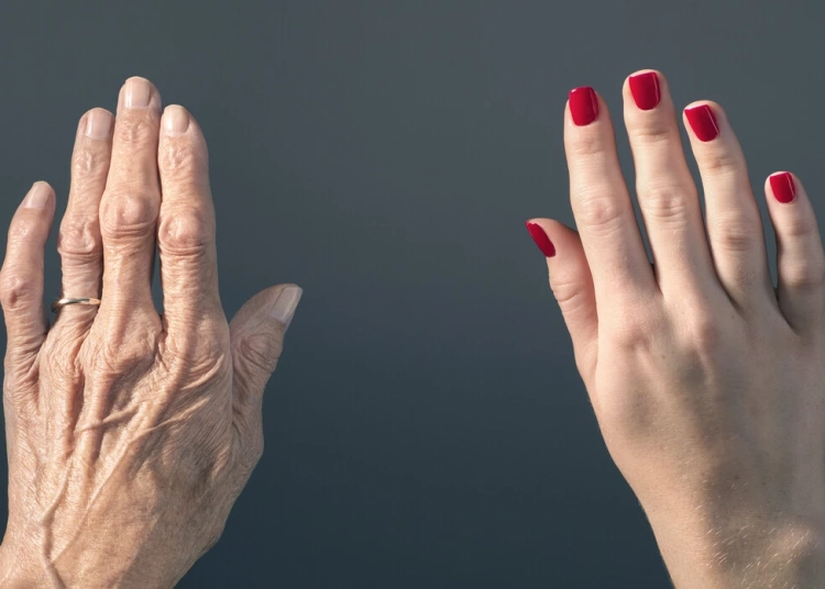 حبة إطالة العمر ما هي خلايا الزومبي وكيف تم استخدمها لجعل الأنسان يعيش لسن ال150 1 خلايا الزومبي لإطالة العمر