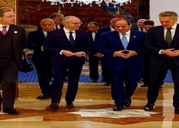 تعاون مصر وهولندا