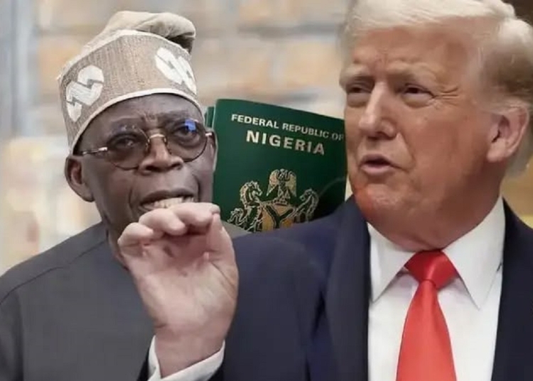 الرئيس الأمريكي دونالد ترامب يهدد بوقف المساعدات الأمريكية لنيجيريا بسبب العنف ضد المسيحيين 1 دونالد ترامب يهدد بوقف المساعدات الأمريكية لنيجيريا