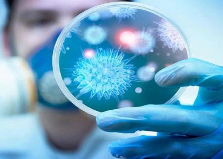 القصة الكاملة بشان زيادة الإصابات بفيروس H1N1 محدش يخاف 1 فيروس حول العالم