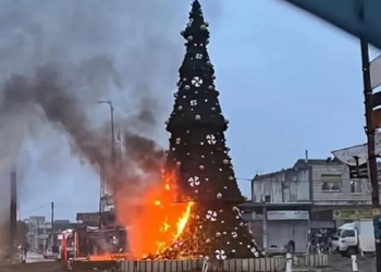 إحراق شجرة الميلاد في جنين وسوريا