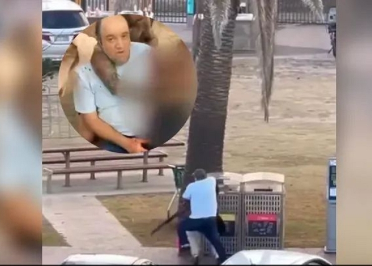 من هو أحمد الأحمد بطل الإنسانية الذي أنار ظلام سيدني 1 أحمد الأحمد