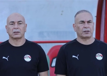 التوأم