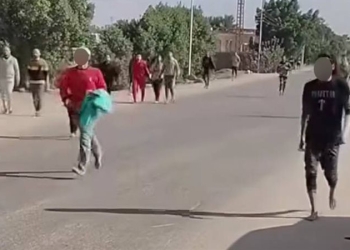 مصير الهاربين من مصحة المريوطية