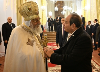 الرئيس السيسي يطمئن المصريين