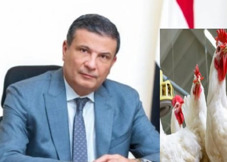 وزير الزراعة يعلن بشرى للمواطنين يخص سعر الفراخ قبل شهر رمضان 1 وزير الزراعة يعلن خبر هام يخص سعر الفراخ قبل شهر رمضان