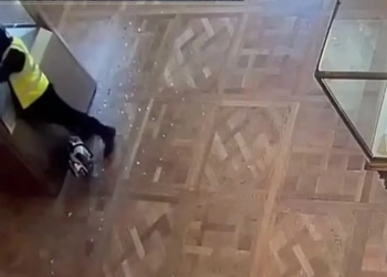 عملية سرقة متحف اللوفر