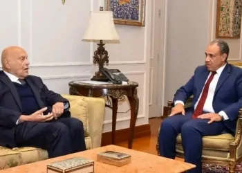 مجدي يعقوب ووزير الخارجية المصري