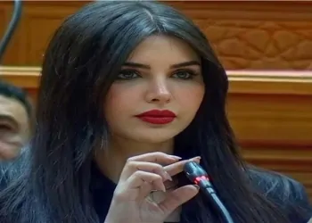 النائبة ريهام أبو الحسن