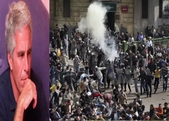 علاقة إبستين بنشر الفوضى بمصر عقب عام 2014