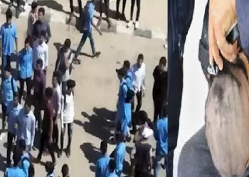 واقعة إذلال في الجيزة بالأعتداء على طالب 