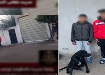واقعة معلمة الدقهلية