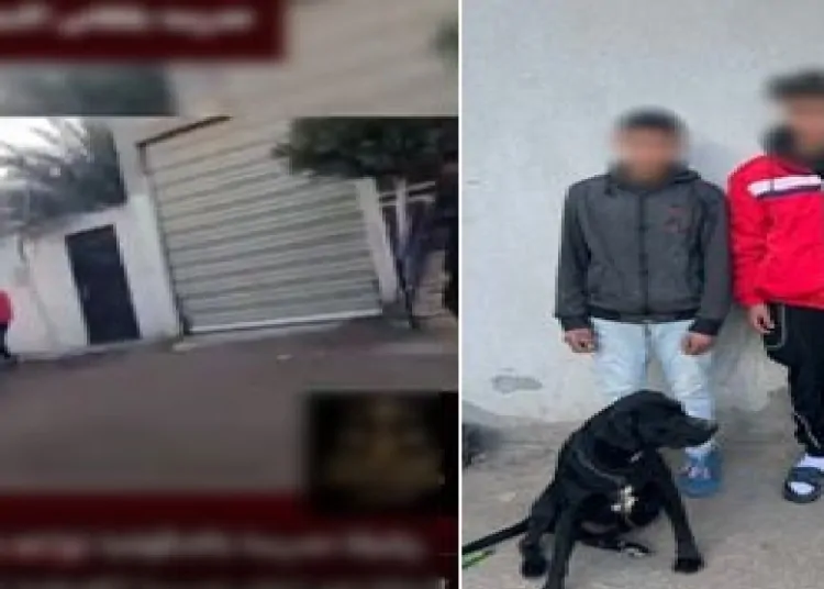 كشف ملابسات واقعة معلمة الدقهلية عقب إهانتها من 3 طلاب وتحريض كلب عليها لتخويفها 1 واقعة معلمة الدقهلية