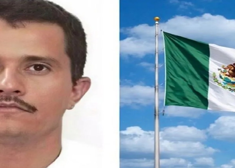 المكسيك على صفيح ساخن عقب انهاء حياة منتشو تدمير 200 متجر و74 ضحية 1 انهاء حياة منتشو
