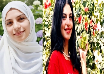 سلفانا عاطف فانوس