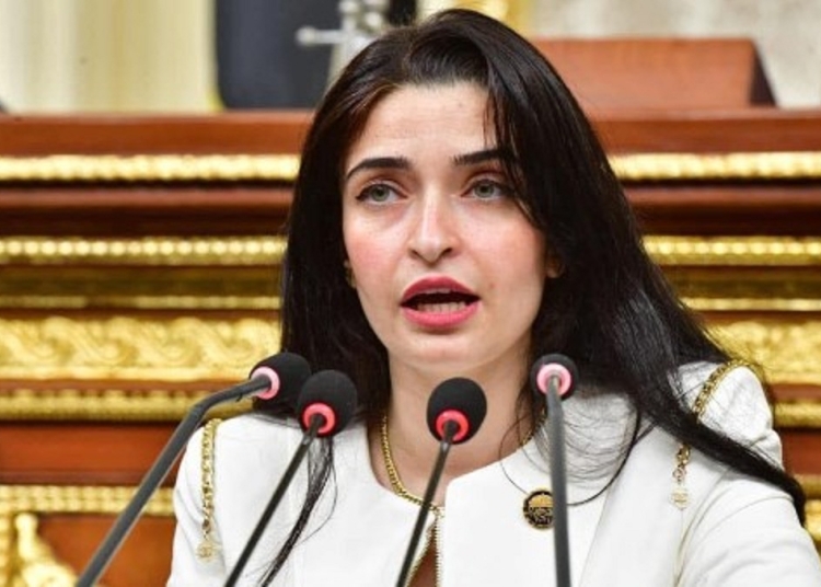 ليست تجميلاً بل حياة إيرين سعيد تفجر مفاجأة عن التبرع بالجلد لإنقاذ أطفال الحروق 1 إيرين سعيد