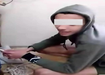 أم تستغيث في الإسكندرية عقب اعتداء ابنها عليها