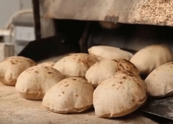 مواعيد عمل المخابز البلدية