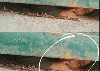 الطفله جنى أبكت المصريين