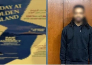 حفل جزيرة إبستين في القاهرة