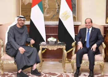 كواليس زيارة الرئيس السيسي لـ أبوظبي والدوحة لرسم الخطوط الحمراء من هرمز إلى المندب 11 زيارة السيسي للإمارات