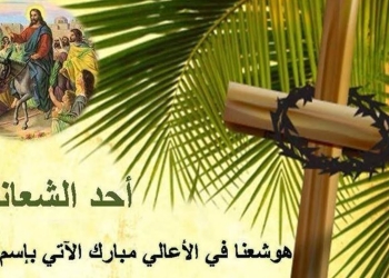 أحد الزعف أبرز طقوس الكنسية