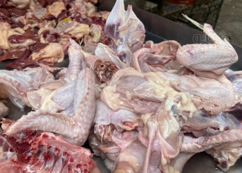 مخاطر تناول هياكل وأرجل الفراخ