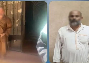أول رد من وزارة الاستثمار على واقعة سمسرة الهرم عقب اثارة الجدل 13 واقعة سمسرة الهرم