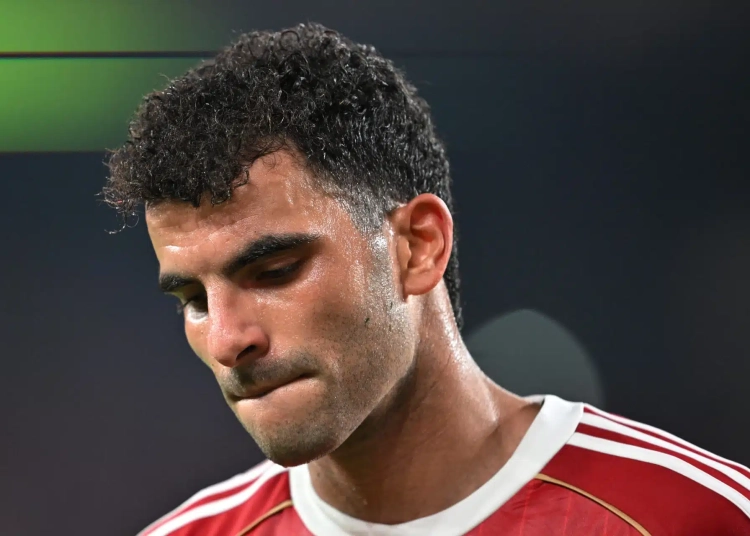 أحمد سيد زيزو