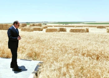 افرحوا بأنفسكم وبلادكم الرئيس السيسي خلال فعاليات موسم حصاد القمح ما حدث بالدلتا تم بيد المصريين 7 الرئيس السيسي خلال فعاليات موسم حصاد القمح