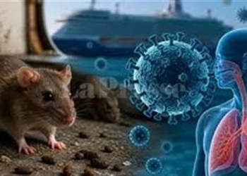 حقيقة انتشار فيروس هانتا منظمة الصحة العالمية توضح التفاصيل 5 دعوة وزارة الصحة