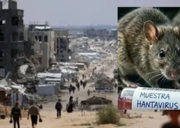 قلق في قطاع غزة من تفشي فيروس هانتا