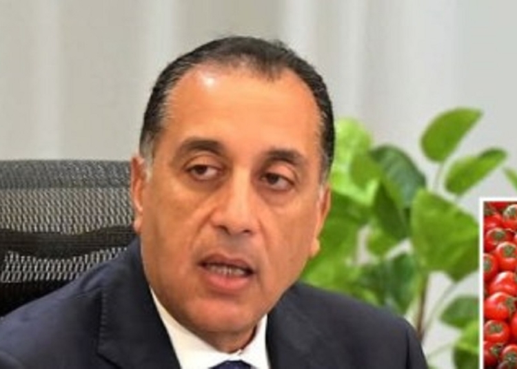 الحكومة تنفي شائعة وجود طماطم ملوثة تسبب الفشل الكلوي 1 مدبولي