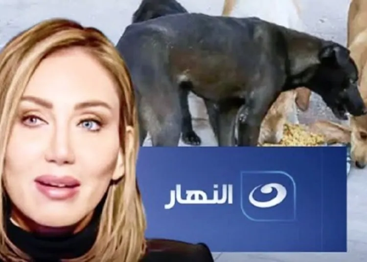 مش هقدر آجي تعليق الإعلامية ريهام سعيد بعد قرار استدعائها من نقابة الإعلاميين بسبب حلقة كلاب الشوارع 1 الإعلامية ريهام سعيد